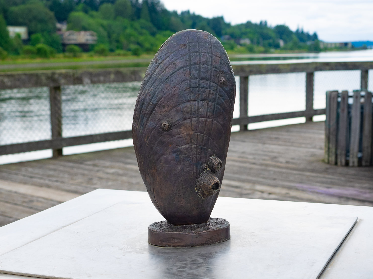 Mussel by Jon Kalin. Medium silicon bronze. Percival Plinth Project sculptures on Percival Landing.